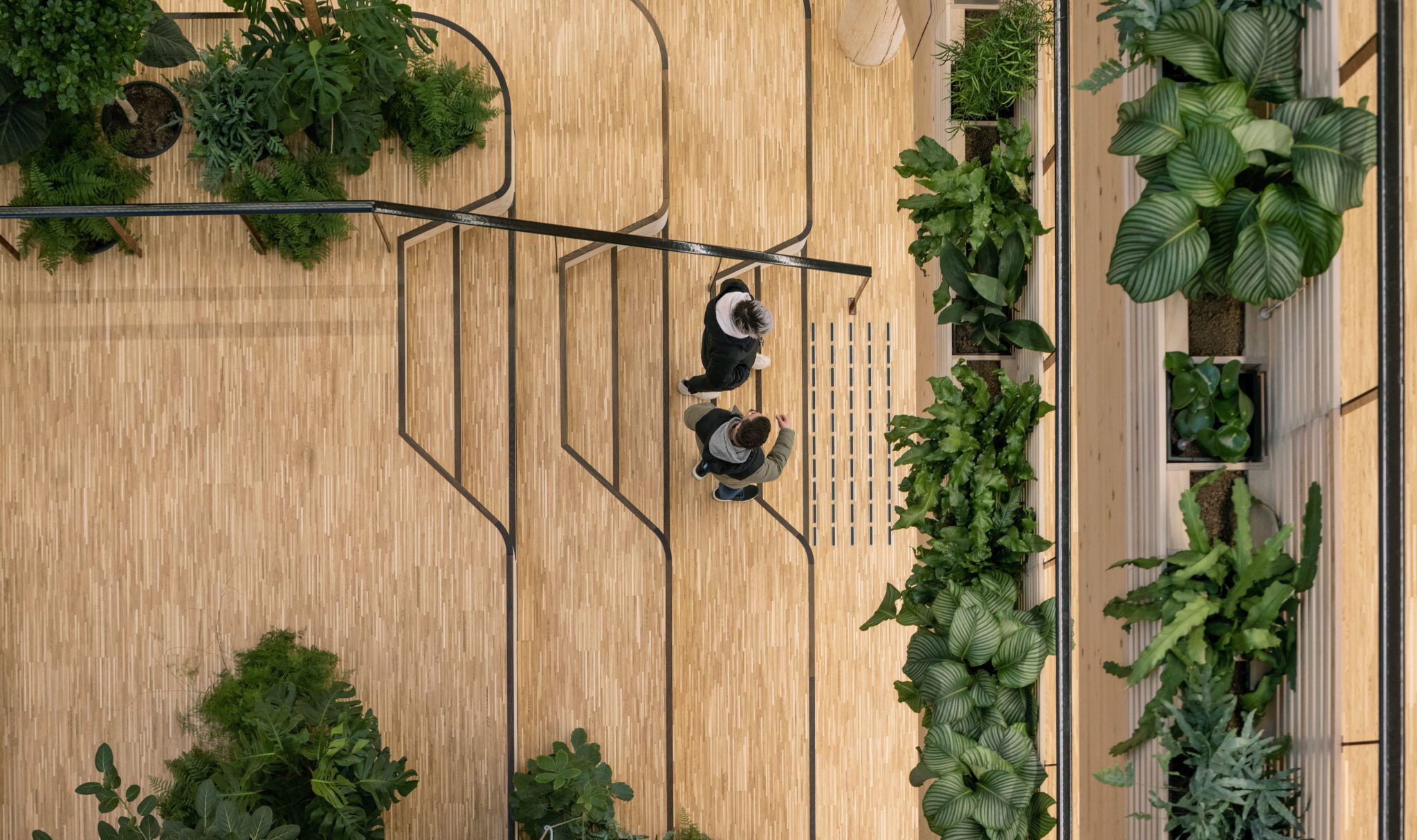 An innovative and greener tomorrow with Innoasis