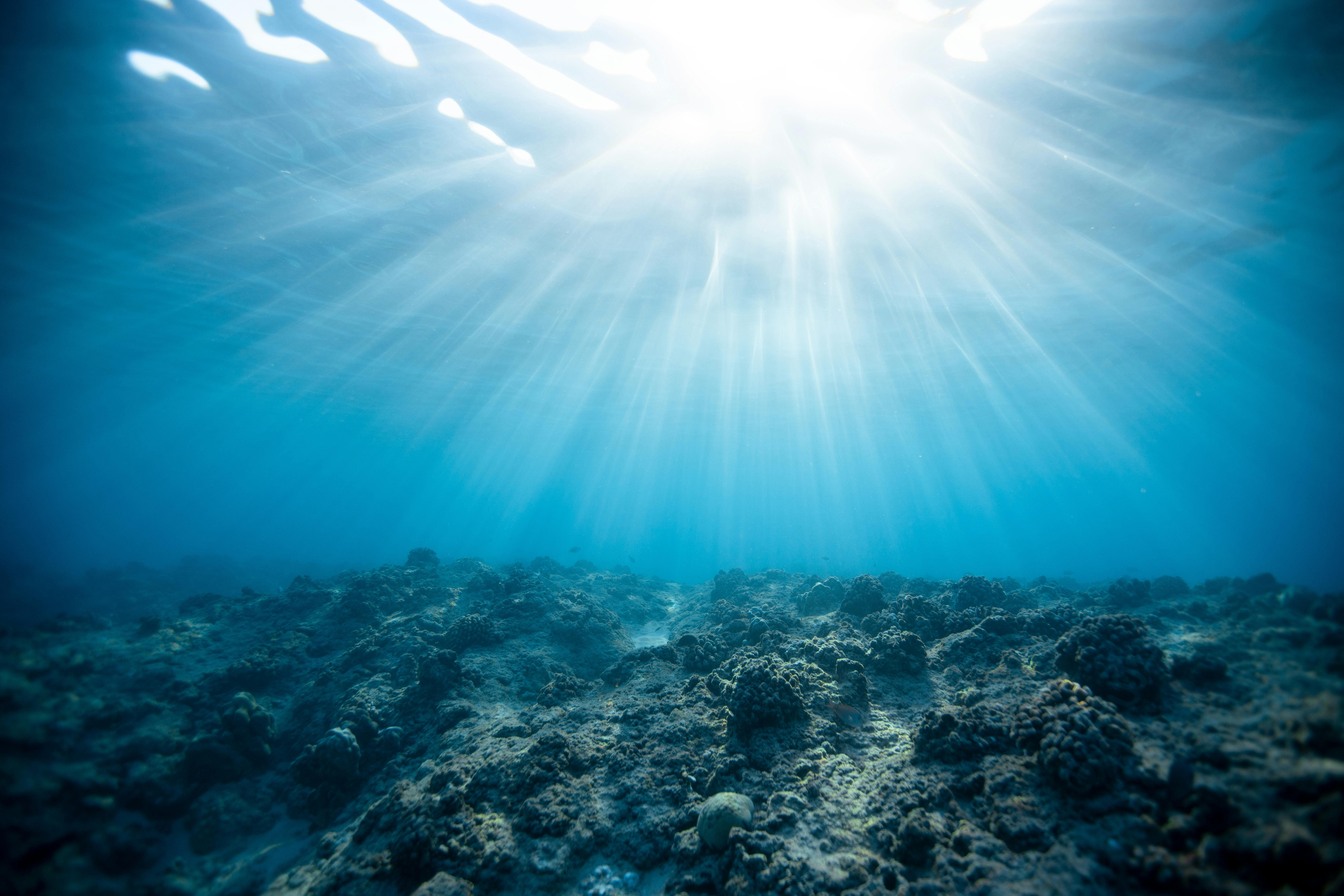 ACTIONABLE OCEAN SCIENCE 2024