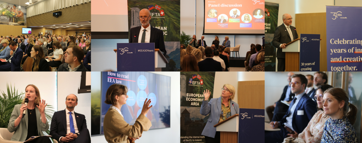 EEA Seminar
